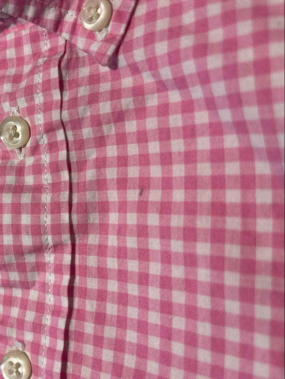 Ralph Lauren Pink Gingham Button-Down Shirt